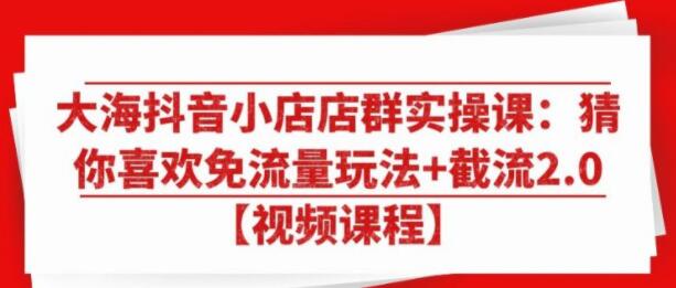 大海抖音小店店群实操培训视频:猜你喜欢免流量玩法+截流2.0-渡漳网