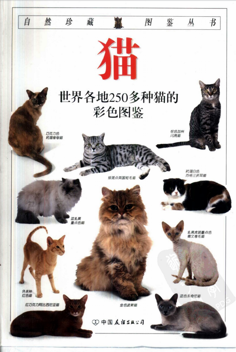经典图鉴珍藏:猫