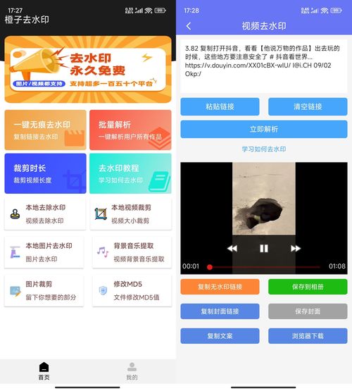 安卓橙子去水印解析多功能 v3.1.15-渡漳网