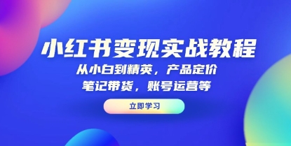 小红书变现实战教程,从小白到精英,定价,带货,账号运营等-渡漳网