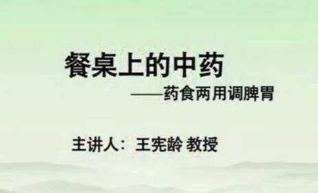 王宪龄《餐桌上的中药》健康讲座视频-渡漳网