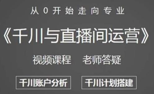 阳光哥《千川与直播间运营》从0开始走向专业,包含千川短视频图文、千川直播间、小店随心推-渡漳网