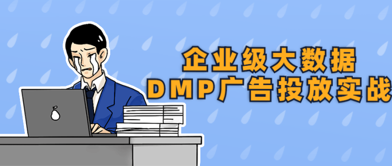 企业级大数据DMP广告投放实战-渡漳网