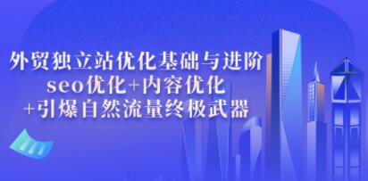 叶建阳《外贸独立站优化基础与进阶》seo优化+内容优化+引爆自然流量终极武器-渡漳网
