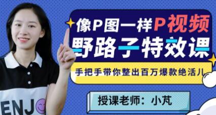 小�M《野路子视频特效课》像P图一样P视频-渡漳网