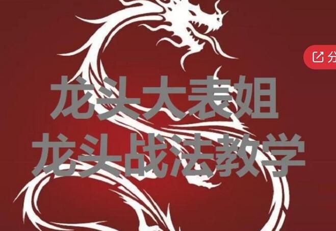 龙头大表姐《龙头战法教学》炒股教程视频-渡漳网