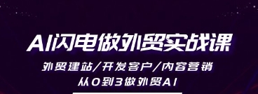 AI闪电做外贸训练营，从0到3外贸万人实战课-渡漳网