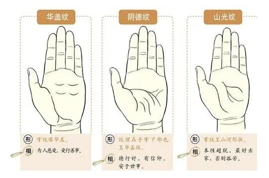 《掌纹相医学系统课》太冲老师主讲-渡漳网