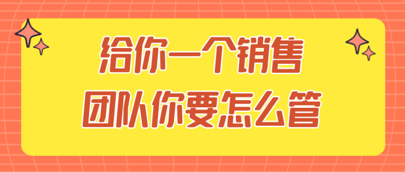 给你一个销售团队你要怎么管-渡漳网