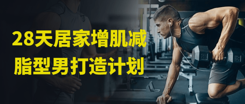 28天居家增肌减脂型男打造计划-渡漳网