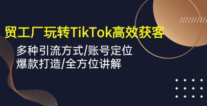 《外贸工厂玩转TikTok高效获客》多种引流方式/账号定位/爆款打造/全方位讲解-渡漳网