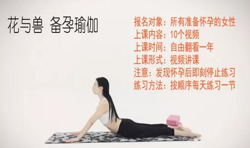 花与兽瑜伽课程《备孕瑜伽》教程视频-渡漳网