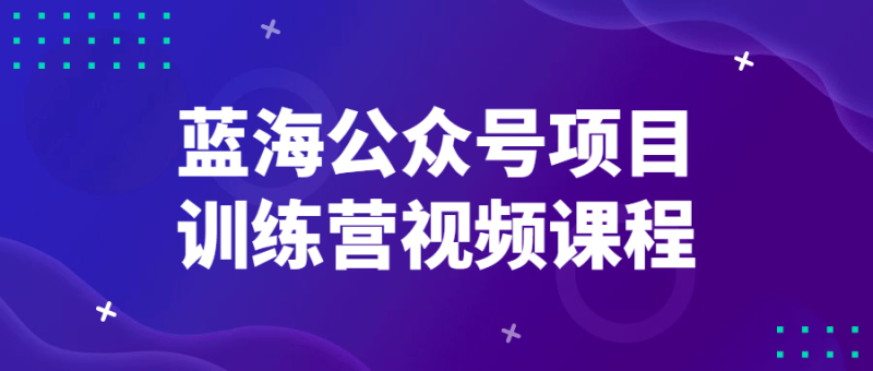 蓝海公众号项目训练营视频课程-渡漳网