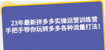 《拼多多实操运营训练营》手把手带你玩转多多各种流量打法！-渡漳网