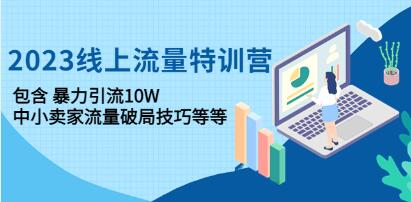 《线上流量特训营》暴力引流10W+中小卖家流量破局技巧等等-渡漳网