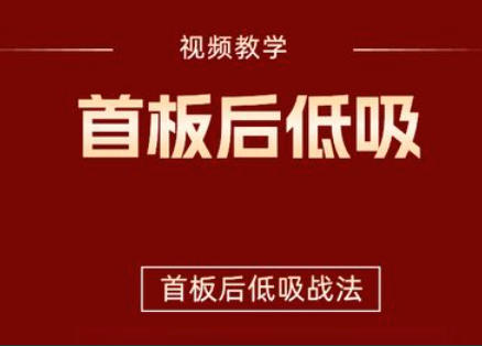首板后低吸战法视频+指标-渡漳网