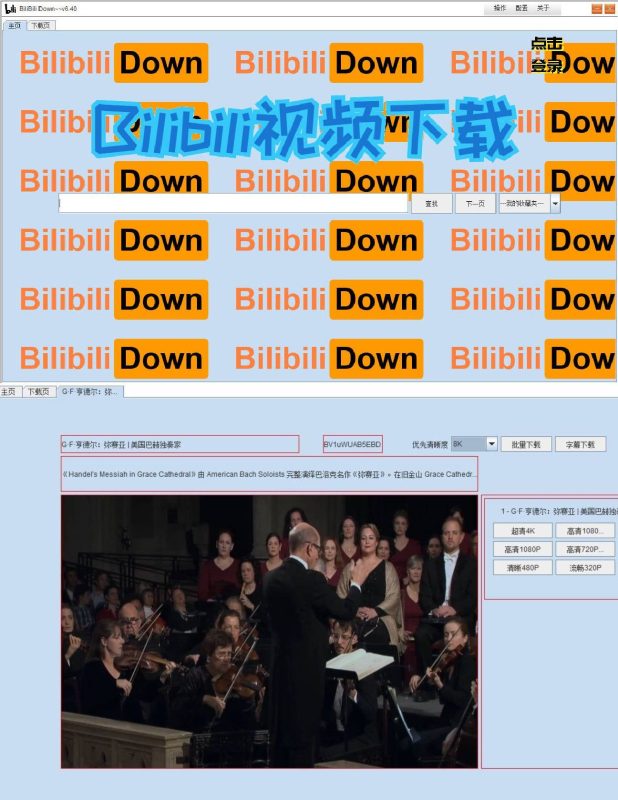 b站视频下载软件BilibiliDown v6.40-渡漳网