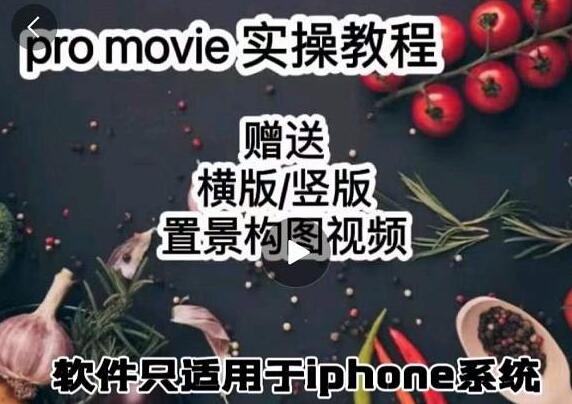 漆十二美食摄影《promovie教程视频》实操教学-渡漳网