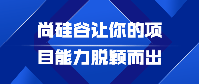 尚硅谷让你的项目能力脱颖而出-渡漳网