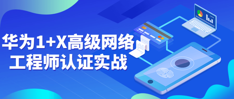华为1+X高级网络工程师认证实战-渡漳网