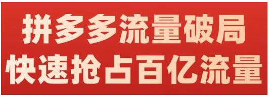 阿杰《拼多多流量破局》如何打黑标，爆款思路，流量框架，快速抢占百亿流量-渡漳网
