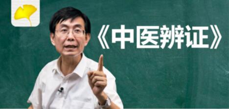 《中医辨证》教学视频120节课下载-渡漳网
