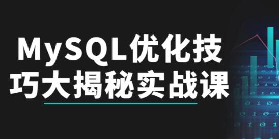 《MySQL优化技巧》大揭秘实战教程视频-渡漳网