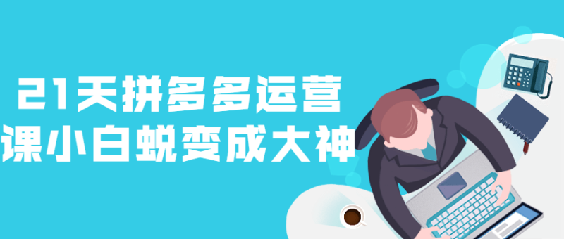 21天拼多多运营课小白蜕变成大神-渡漳网
