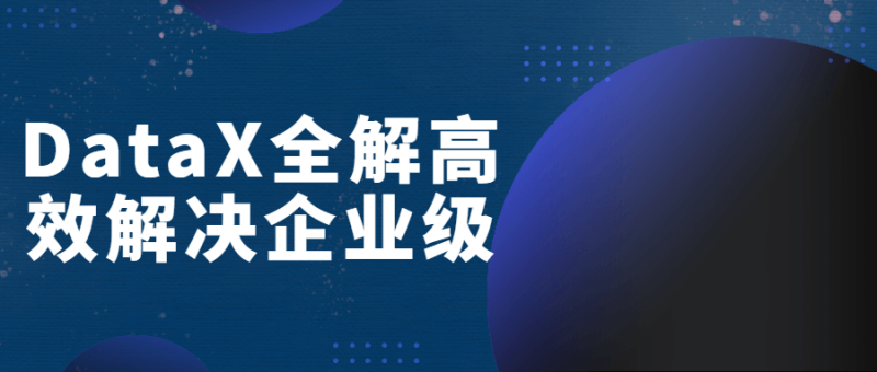 DataX全解高效解决企业级-渡漳网