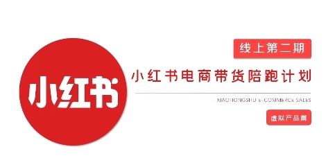 小红书虚拟电商实战课,从0到1打造无货源店铺-渡漳网
