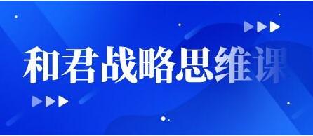 《和君战略思维课》培训讲座视频-渡漳网