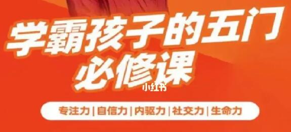 《学霸孩子的五门必修课》专注力 自信力 内驱力 社交力 生命力-渡漳网