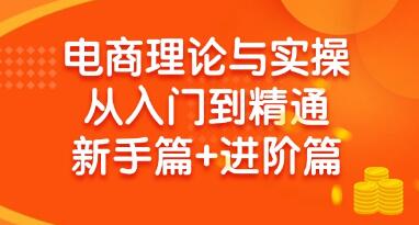 《电商理论与实操从入门到精通》抖店+淘系+多多,新手篇+进阶篇-渡漳网