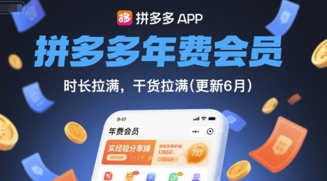 拼多多实战经验分享，盈利突围战-渡漳网