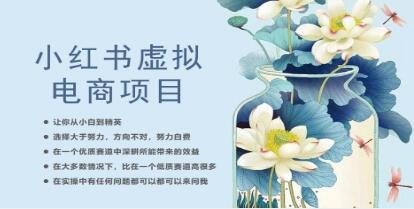 《小红书虚拟电商从0到1》让你从小白到精英-渡漳网