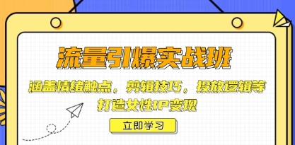 流量引爆实战班,剪辑技巧,投放逻辑等,打造女性IP变现-渡漳网
