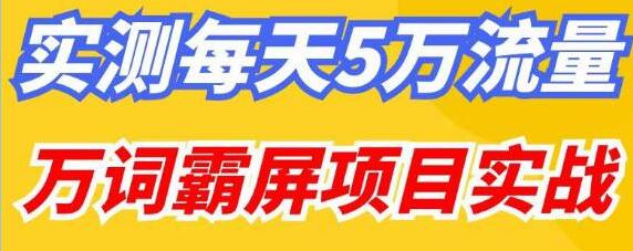 《万词霸屏项目实战》实测每天5万流量-渡漳网