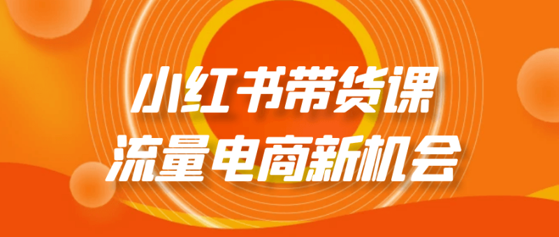 小红书带货课流量电商新机会-渡漳网