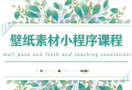 闪闪《壁纸号运营教程》抓住图文风口,快速吸粉变现-渡漳网