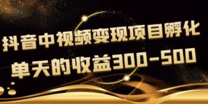 黄岛主《抖音中视频变现项目孵化》单天的收益300-500 操作简单粗暴-渡漳网