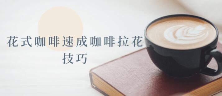 《花式咖啡》速成咖啡拉花技巧视频教程-渡漳网