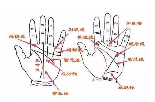 《传统手相结合西方占星理论》零基础入门到精通,真人案例-渡漳网