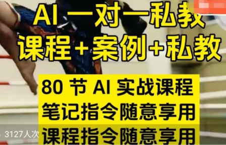 AI指令实战课，课程+案例，80节AI实战课程-渡漳网