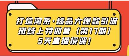 打造淘系《标品大爆款引流班线上特训营》第17期5天直播授课-渡漳网