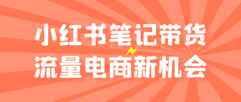 小红书笔记带货流量电商新机会-渡漳网