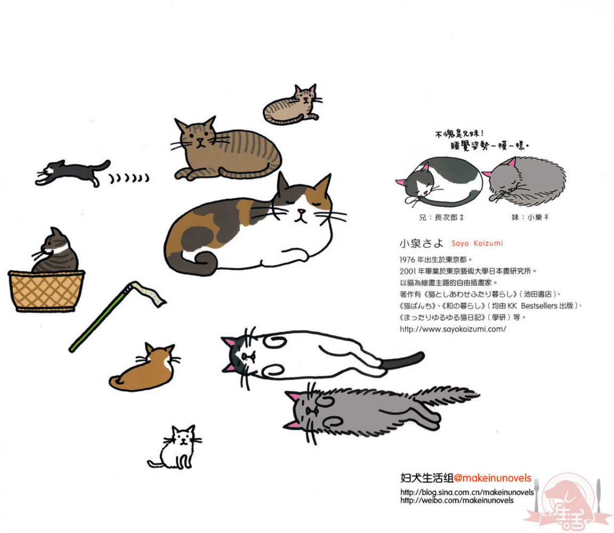 猫奴必懂的100个喵喵秘密