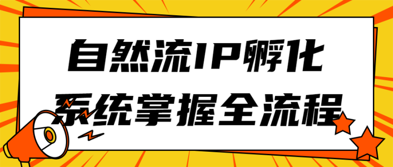 自然流IP孵化系统掌握全流程-渡漳网