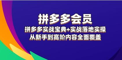 《拼多多实战宝典》实战落地实操-渡漳网