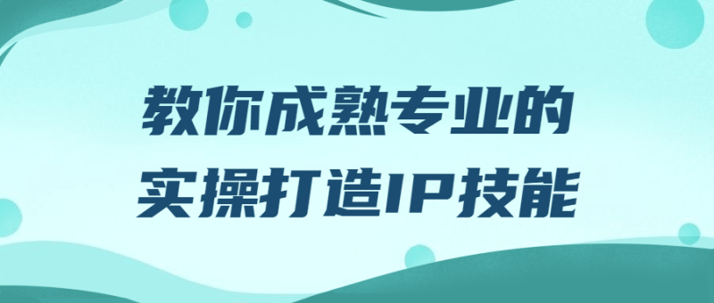 教你成熟专业的实操打造IP技能-渡漳网