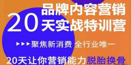 《品牌内容营销实战特训营》20天让你营销能力脱胎换骨-渡漳网